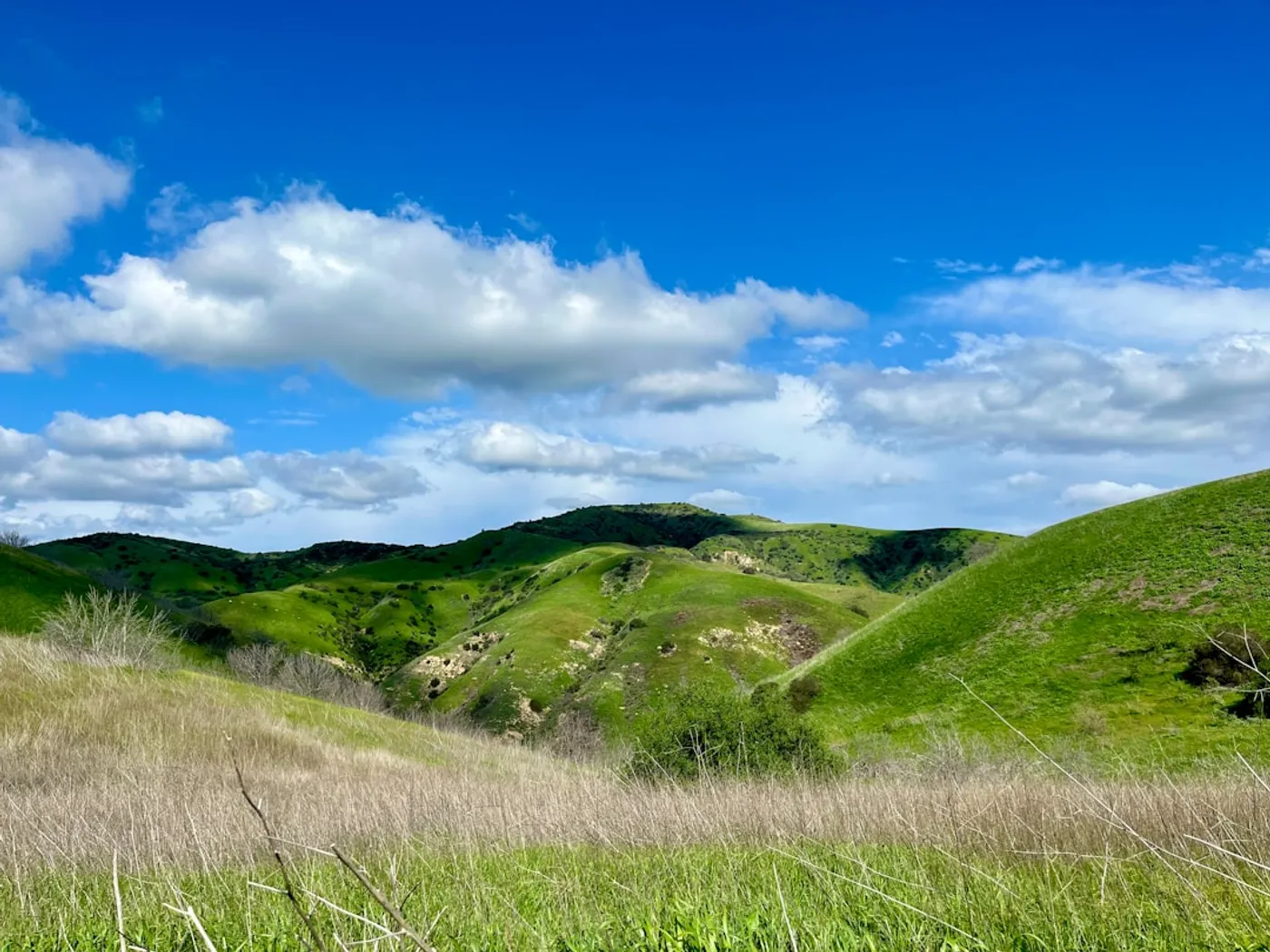 Peters Canyon Regional Park Loop
