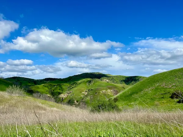 Peters Canyon Regional Park Loop